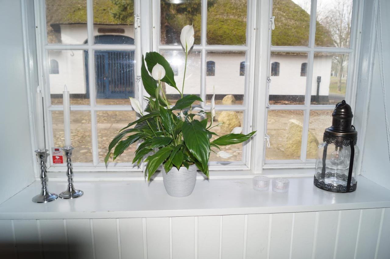 Bed and Breakfast Eleonoras Esbjerg Zewnętrze zdjęcie
